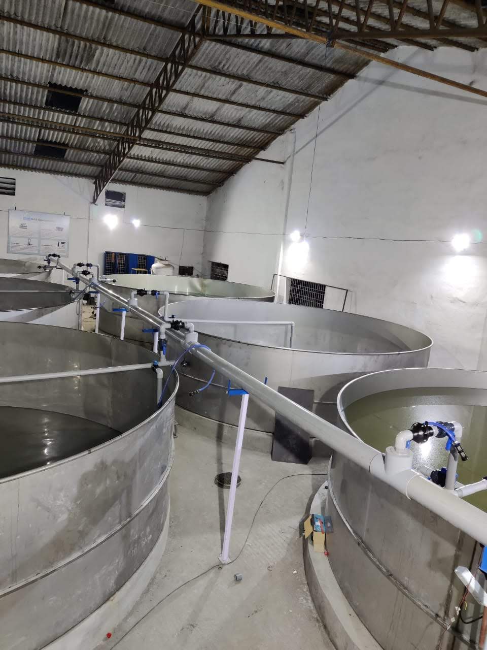 WhatsApp Image 2025-07-25 at 18.23.50_56c6d28f.jpg